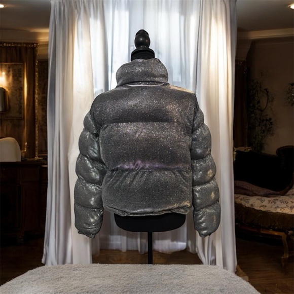 Dolls Kill Poster Girl Shimmering Silver Puffer Tundra Jacket xxs NWT - Picture 2 of 7